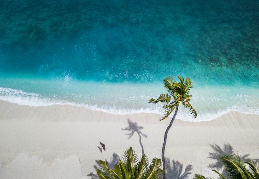 Unleash Your Inner Explorer with Our Expert Travel Planning