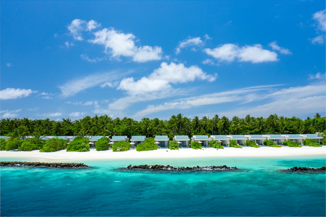 Unlock Hidden Gems Around the World with Our Services